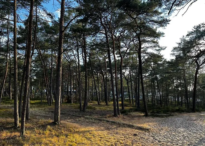 Apartament Szumilas Rowy