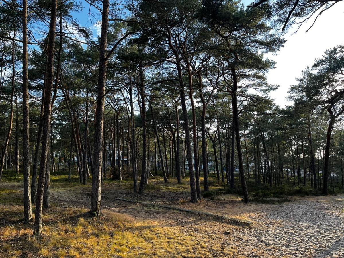 Szumilas Rowy Rowy (Pomerania)